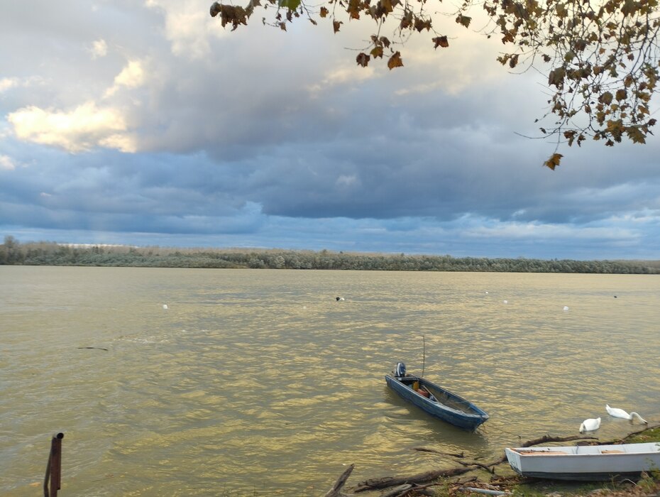 Poplavni talas stigao u Srbiju, raste vodostaj Dunava, u nedelju nivoi reke blizu kritičnih&nbsp;granica